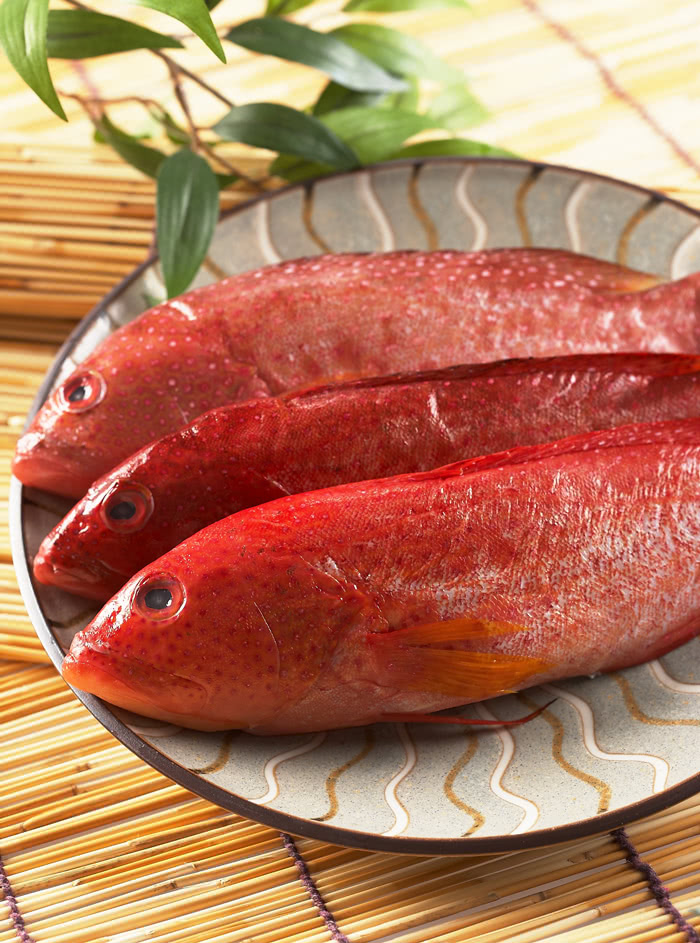 【優鮮配】峇里島野生紅鰷石斑魚10條組(約450g/條)