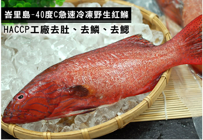 【優鮮配】峇里島野生紅鰷石斑魚10條組(約450g/條)