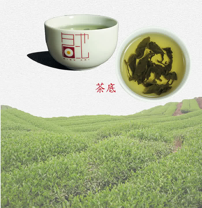 【名池茶業】精選香醇冬茶二兩灑金禮盒-凍頂烏龍(8罐)