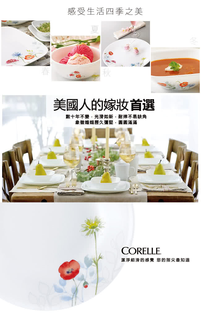 【美國康寧 CORELLE】花漾彩繪10吋平盤(110)