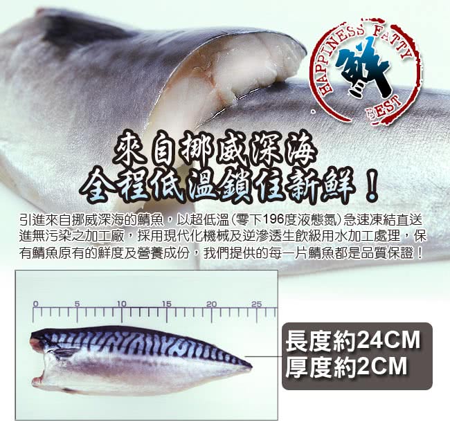 【食在幸福】挪威深海薄鹽鯖魚片20包(190g/包)