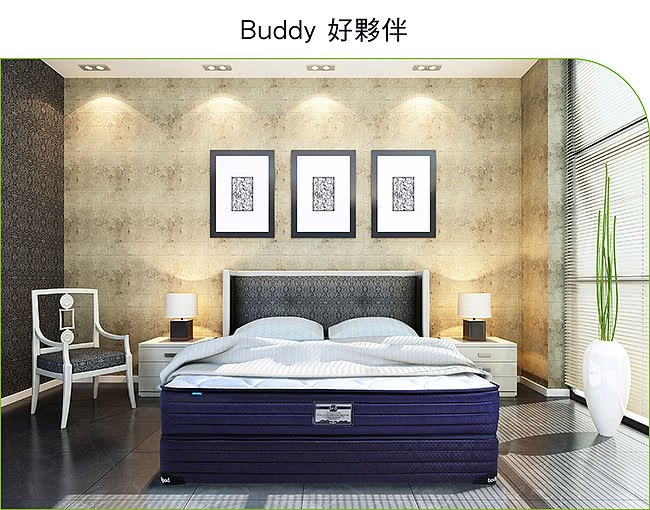 【bodipad 寶倍得】Buddy 好夥伴 獨立筒-單人加大