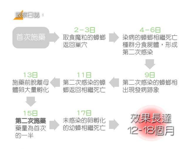 【房裡無蟑】好神奇 殺蟑魔粒 蟑螂藥(家庭精裝組 8克 x 6入 / 1組)