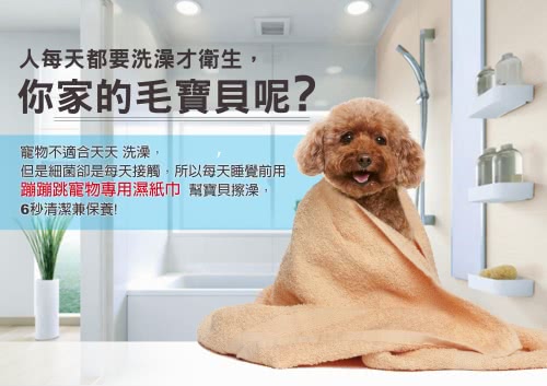 【bonbonpet】寵物專用濕紙巾（特賣組）