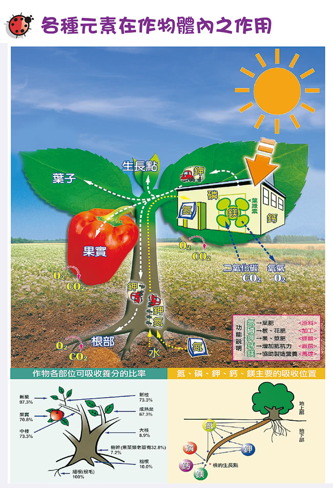 【花公主】開花用有機質粒肥(600g)