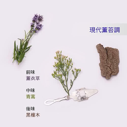 【Mauboussin 夢寶星】Pour Lui 絕對男性淡香精(100ml)