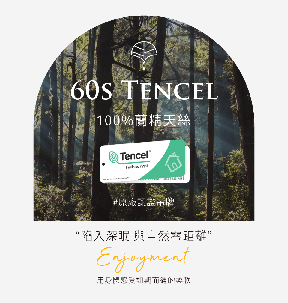 FOCA 60支100%純天絲素色壓框薄被套床包枕套組-品味 FOCA 60支100%純天絲素色壓框薄被套床包枕套組-品味