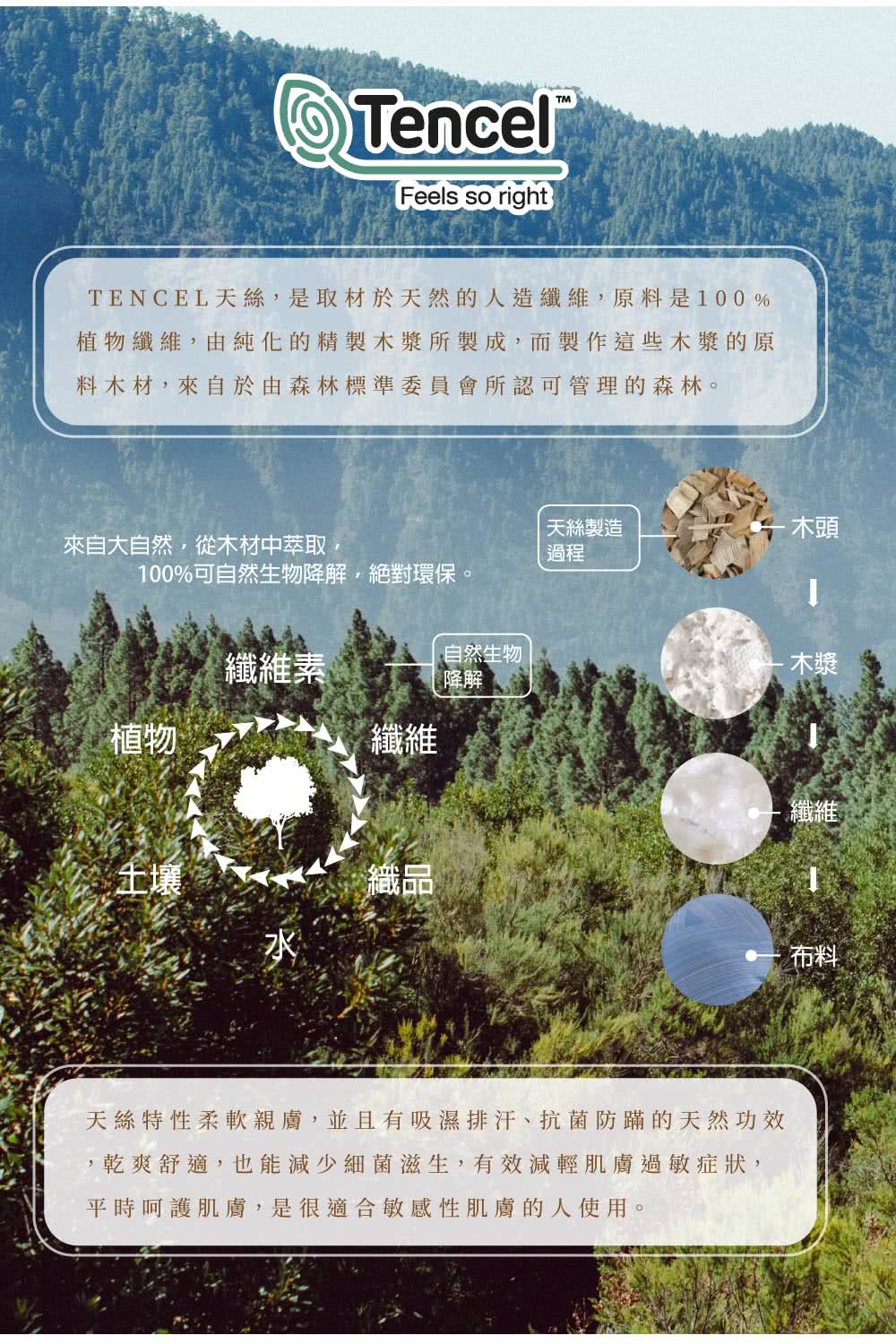 DeKo 60支100%奧地利純天絲 兩用被床包組(麗貝卡 DeKo 60支100%奧地利純天絲 兩用被床包組(麗貝卡
