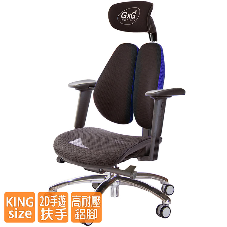 GXG 吉加吉 大網座 雙背工學椅 鋁腳/2D手遊休閒扶手( GXG 吉加吉 大網座 雙背工學椅 鋁腳/2D手遊休閒扶手(