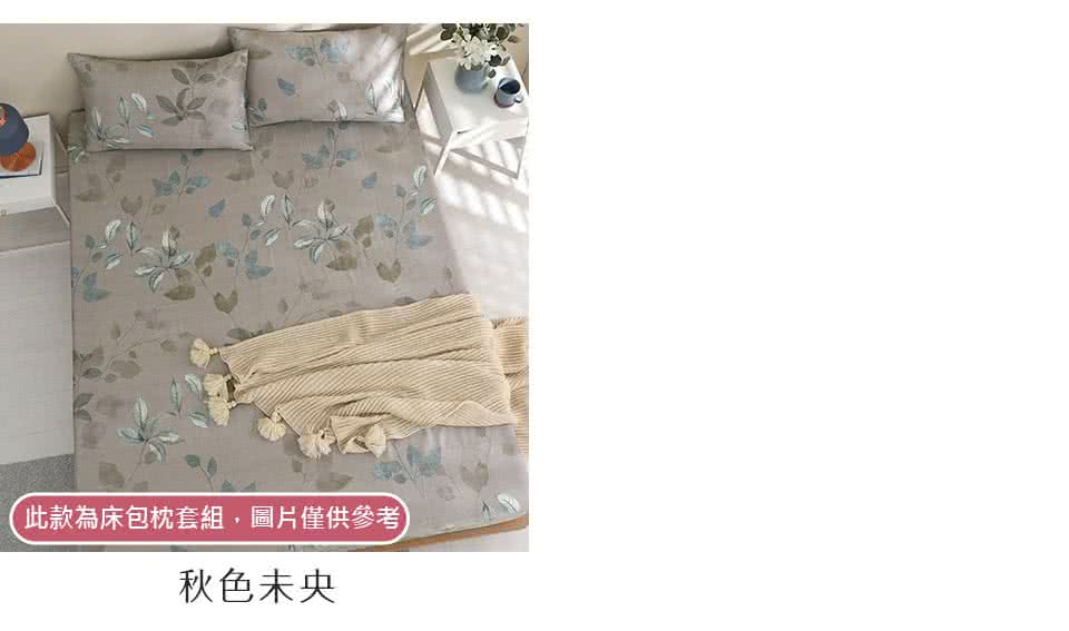 HOYACASA 禾雅寢具 台灣製-100%萊賽爾天絲床包枕 HOYACASA 禾雅寢具 台灣製-100%萊賽爾天絲床包枕