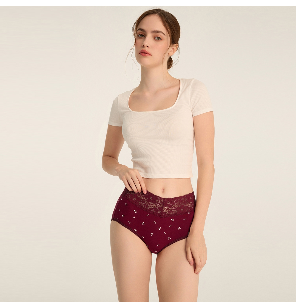 Anden Hud 抗菌系列.寬版V蕾絲超高腰三角內褲(好運 Anden Hud 抗菌系列.寬版V蕾絲超高腰三角內褲(好運