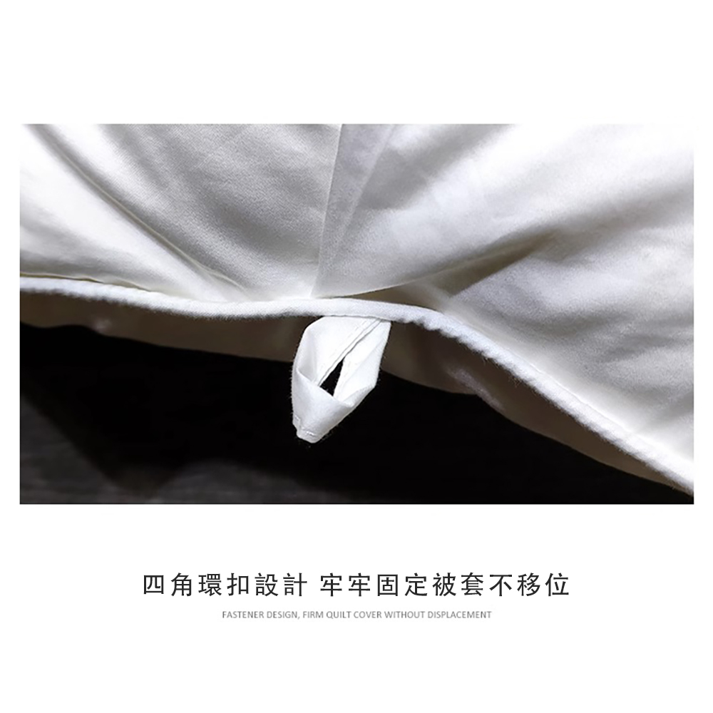 羽絨被 冬被芯 加厚保暖 白鵝絨 雙人鴨絨被(不鑽絨無異味不 羽絨被 冬被芯 加厚保暖 白鵝絨 雙人鴨絨被(不鑽絨無異味不