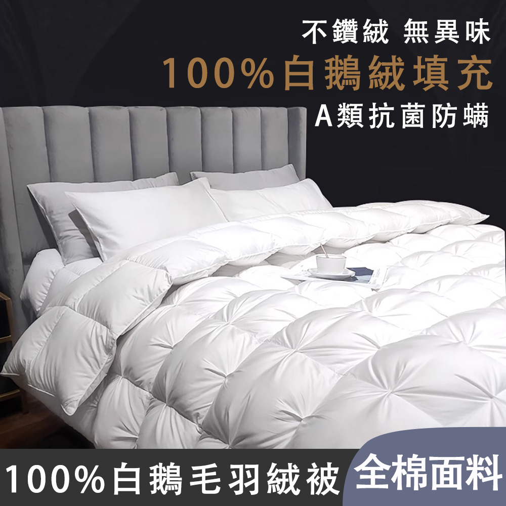 羽絨被 冬被芯 加厚保暖 白鵝絨 雙人鴨絨被(不鑽絨無異味不 羽絨被 冬被芯 加厚保暖 白鵝絨 雙人鴨絨被(不鑽絨無異味不