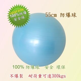 ～５５ＣＭ～１００％防爆抗力球