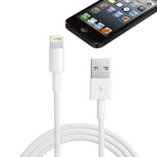 【GCOMM】Apple iPhone5 Lightning 傳輸充電線