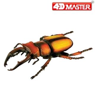【4D  MASTER】甲蟲系列-鹿兒島鍬形甲蟲 (KAGOSHIMA STAG BEETLE)