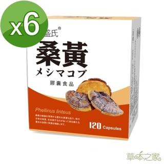 【草本之家】桑黃菇子實體(120粒X6盒)