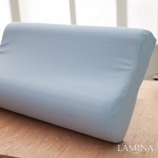 【LAMINA】防蹣抗菌健康記憶枕-1入