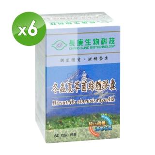 【長庚生技】健字號冬蟲夏草菌絲體膠囊(6入)