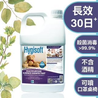 【芬蘭Hygisoft科威】多用途表面殺菌消毒噴霧 4L(防疫 殺菌消毒 防霉 防蹣)