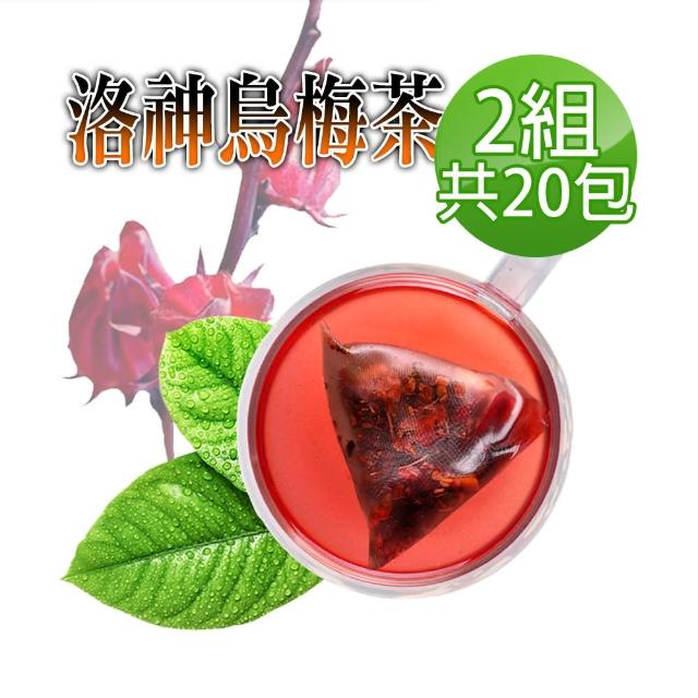 【蔘大王】洛神烏梅茶（3D立體茶包）6gx10包/組X2組(無咖啡因無茶鹼/去油解膩/幫助消化)