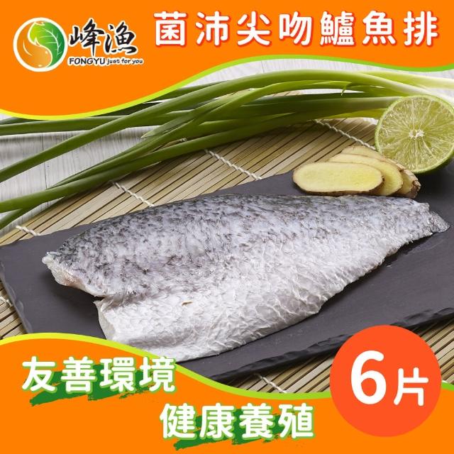 【峰漁安心水產】無毒 無刺 菌沛尖吻鱸魚排-6片組(產銷履歷金目鱸魚)