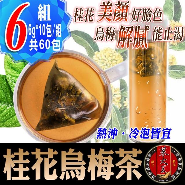 【蔘大王】桂花烏梅茶 解渴美妍茶（6gX10包/X6組）(冷熱兩用/油切解膩/輕盈靈活/香氣四溢)