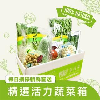 【菜霸子】蔬菜箱(健康蔬菜組合箱-組合隨機 廠商直送 現貨)