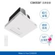 【CAESAR 凱撒衛浴】浴室涼暖風乾燥機 DF270(無線遙控 110V/220V / 不含安裝)