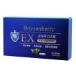 PBF 淨排紐西蘭波森莓口含錠搶購組