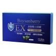 PBF 淨排紐西蘭波森莓口含錠搶購組