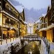 日本東北童話合掌村銀山溫泉草莓季4日M