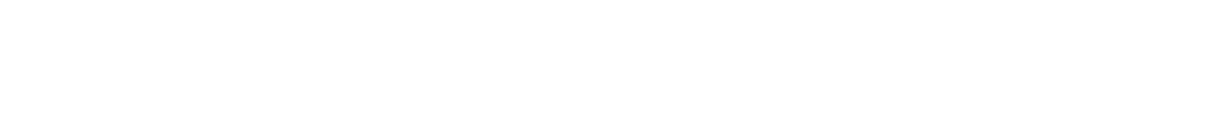 新品