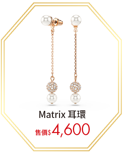 Matrix 耳環