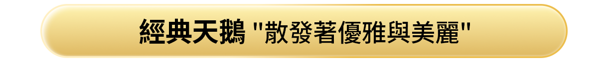 經典天鵝