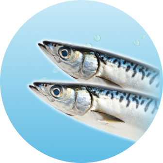 DHA / 魚油