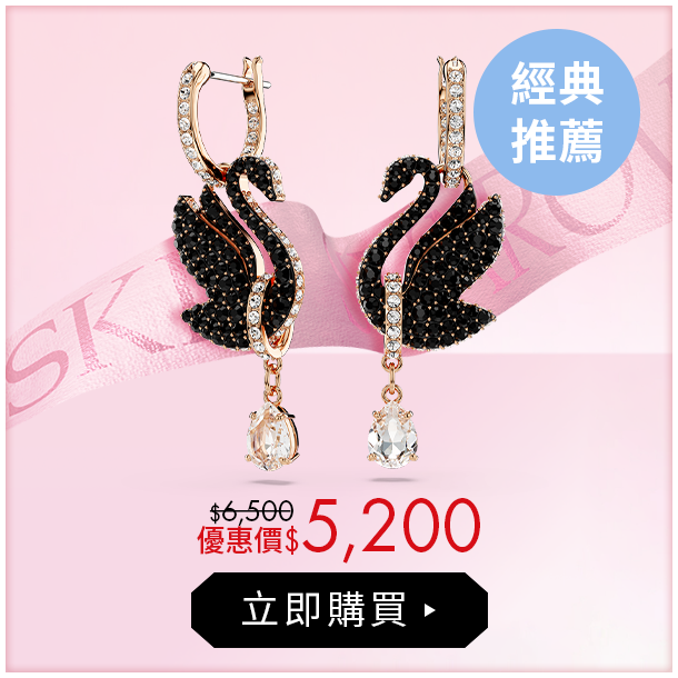 Swan 耳環