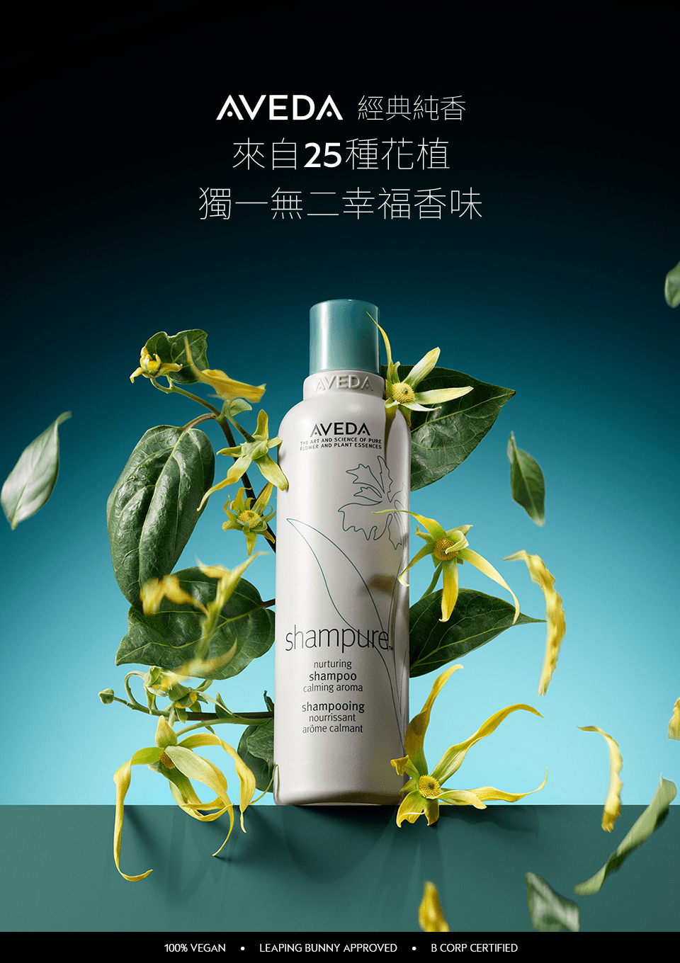 經典純香系列