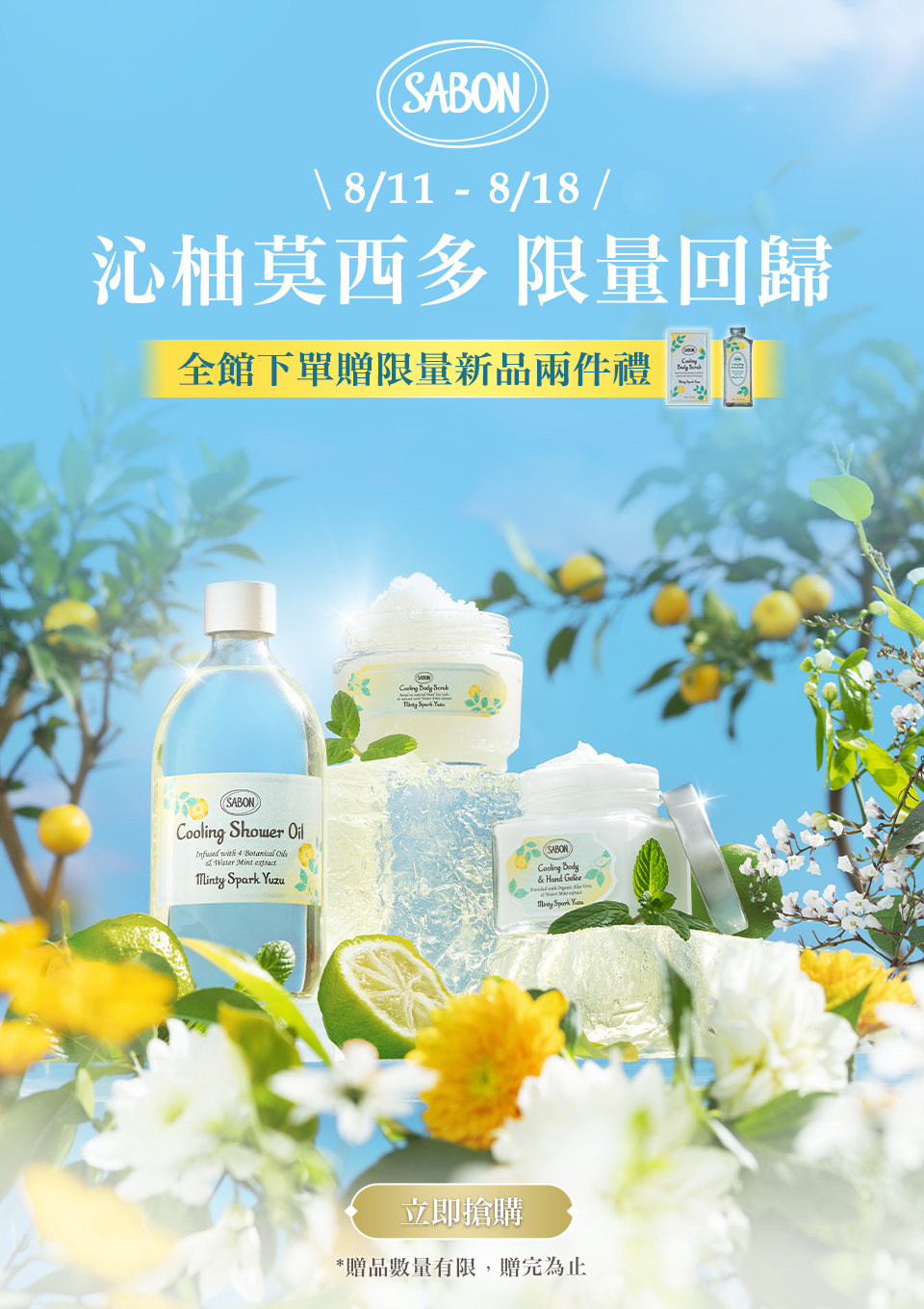 新品上市