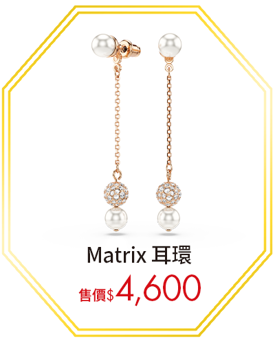 Matrix 耳環