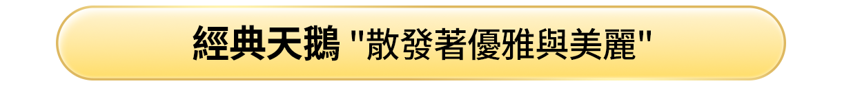 經典天鵝