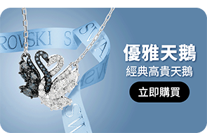優雅天鵝