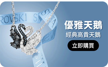 優雅天鵝