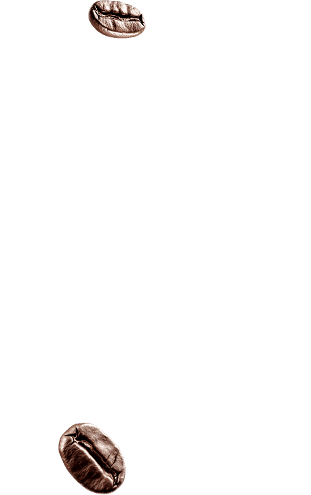 咖啡豆5
