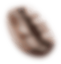 咖啡豆2