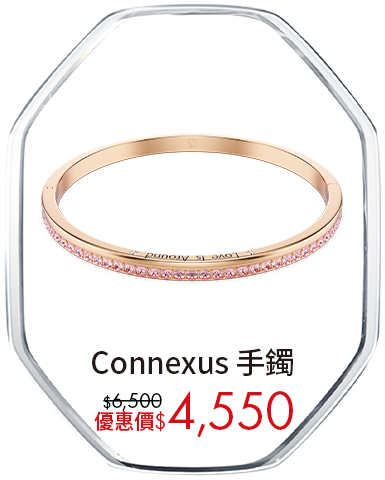 Connexus 手鐲