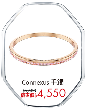 Connexus 手鐲