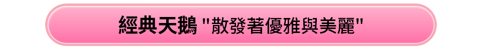 經典天鵝