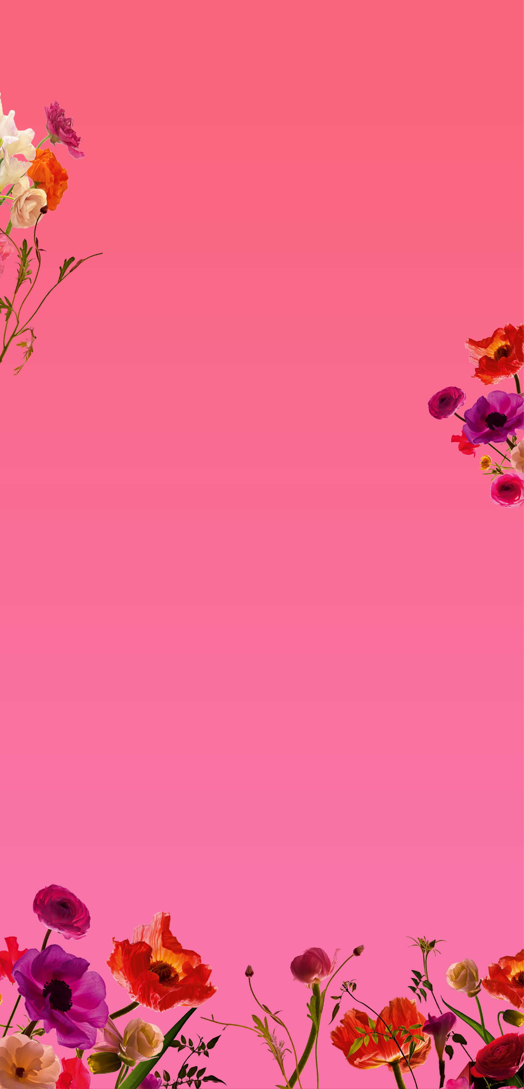 4.7-4.14 母親節前哨戰