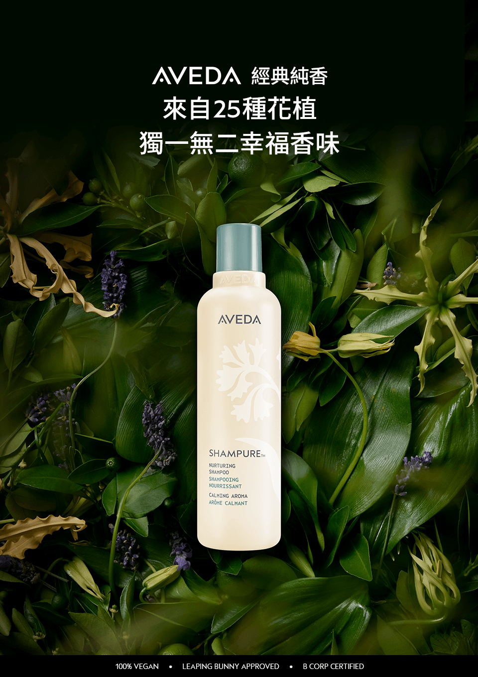 蘊活光萃系列